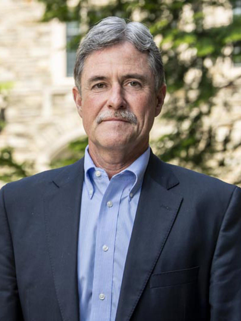 David Allan Ph.D.