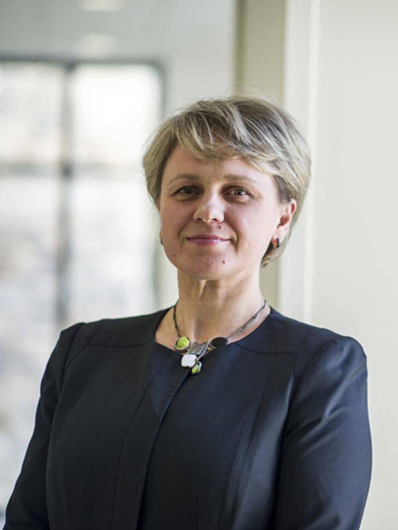 Elena Lvina PhD