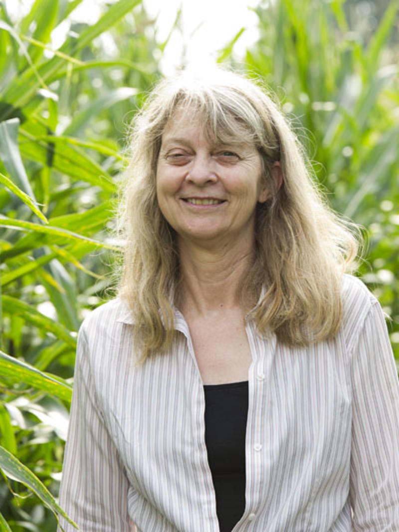 Karen Snetselaar PhD