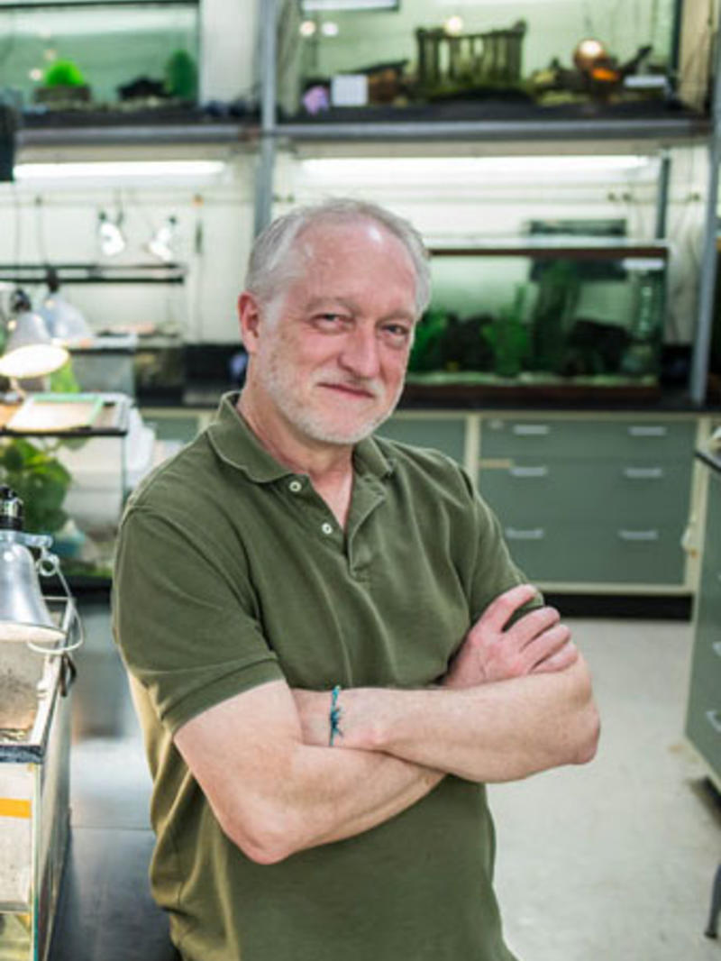 Scott McRobert PhD
